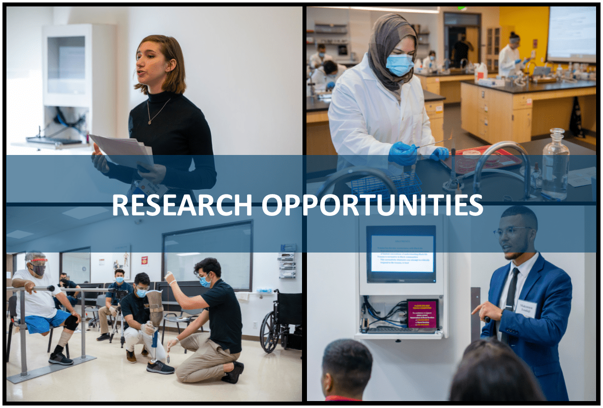 Research Opportunities Collage-2