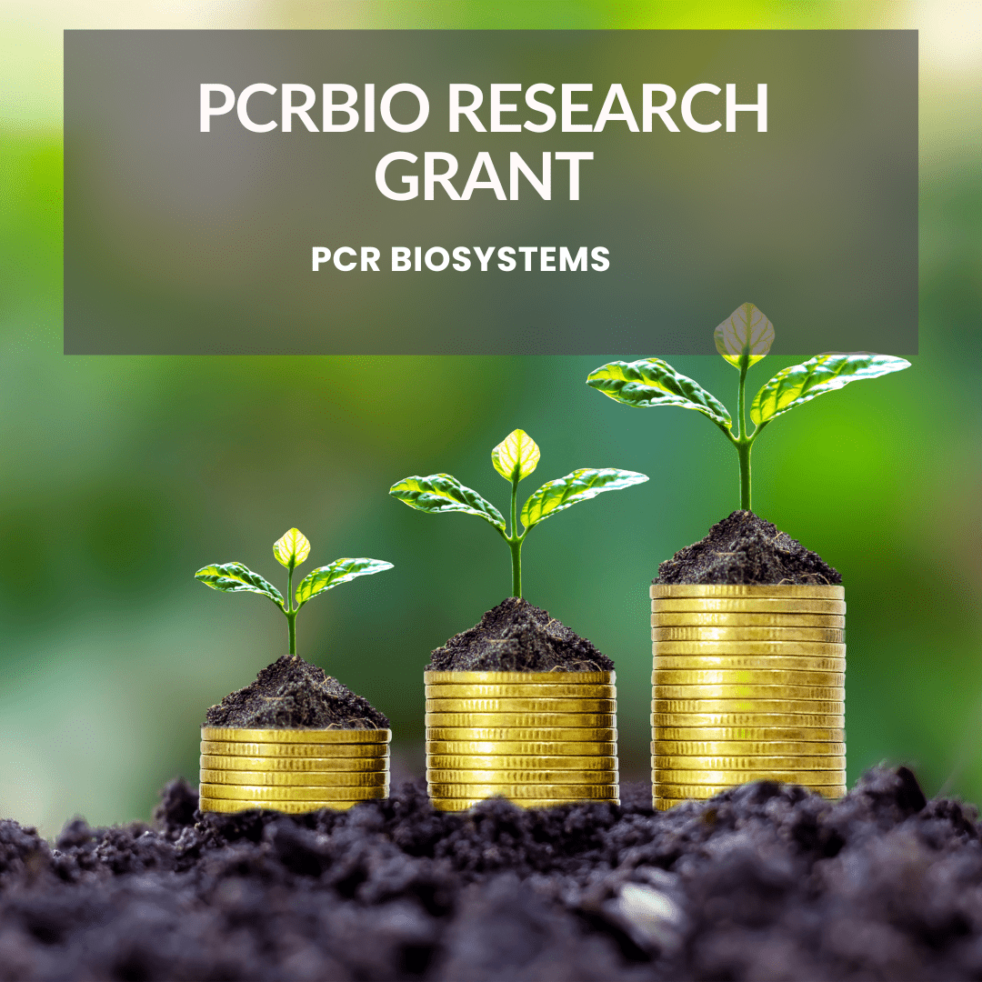 Cópia de Grants Template 1