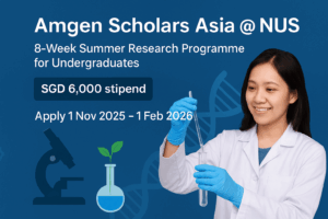 Exceptional Summer Research Opportunity at the National University of Singapore