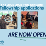 FAO Schwarz Fellowship in Social Impact