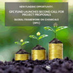 Cópia de Grants Template 1 (1)