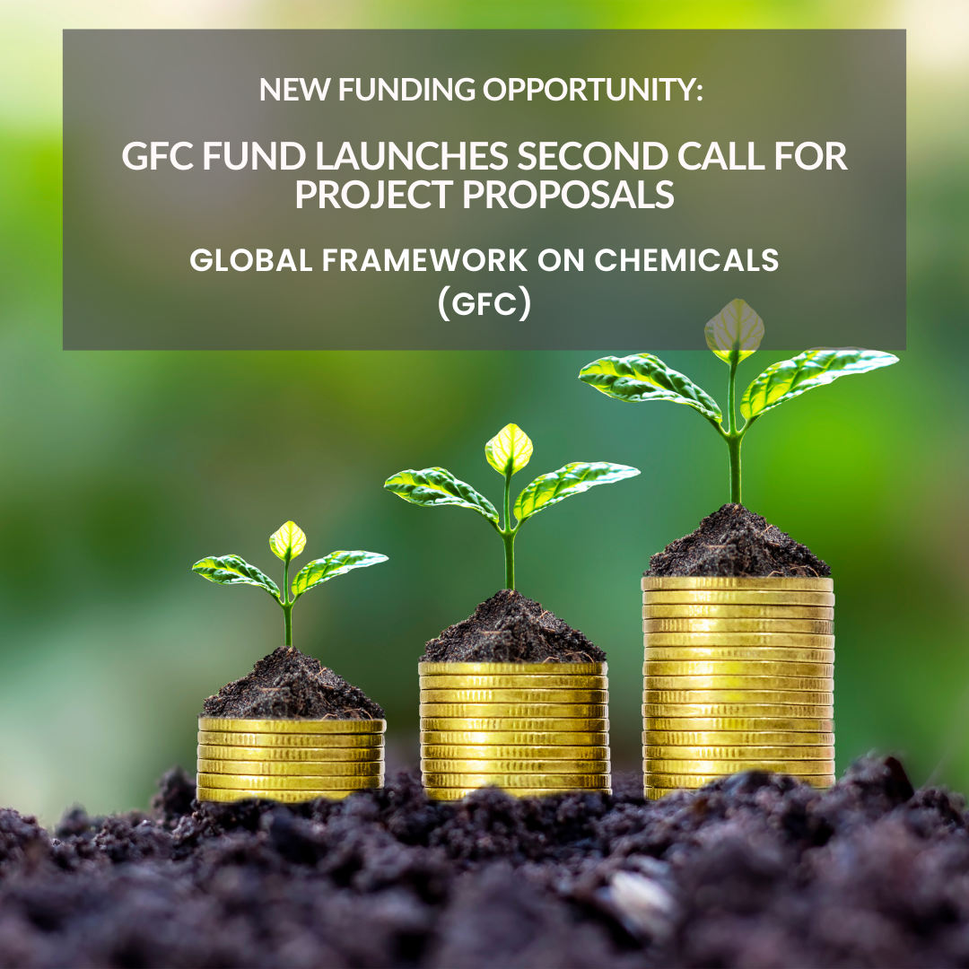 Cópia de Grants Template 1 (1)