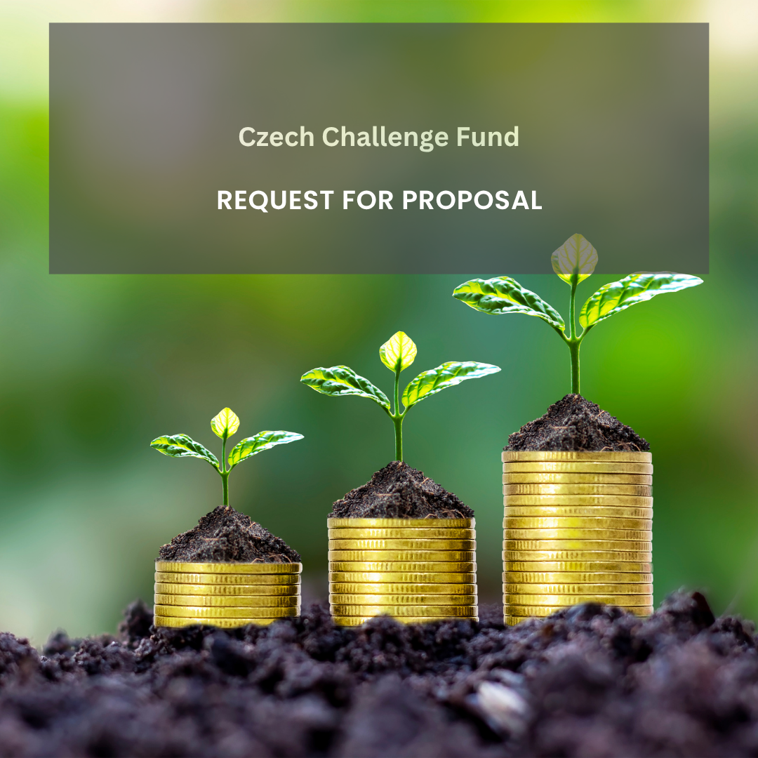 Copy of Grants Template 1