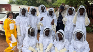 Buzzing with opportunity: NW youth take flight in beekeeping – Food For Mzansi